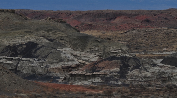 bisti wilderness